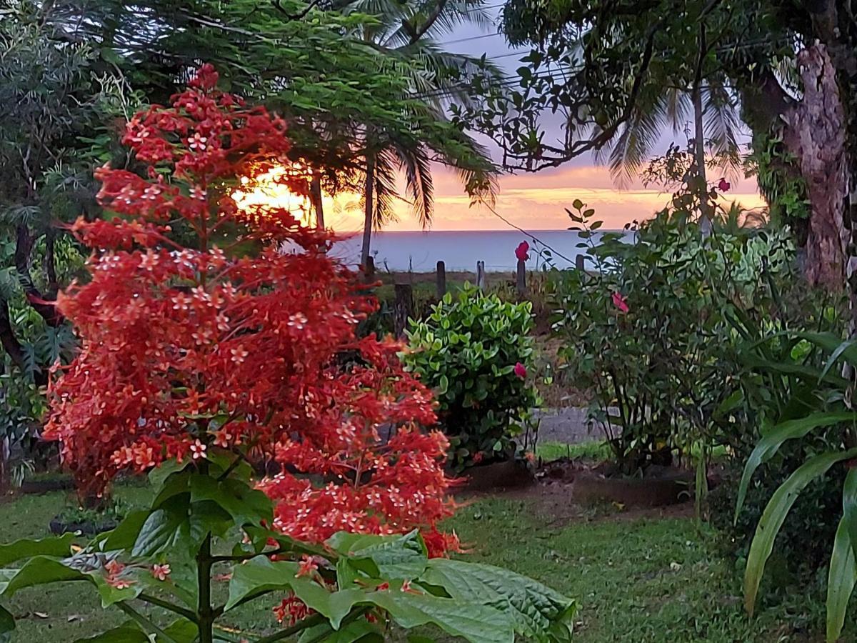 Hotel Gitana Corcovado, Y Tour Operador Drakes Bay Екстериор снимка