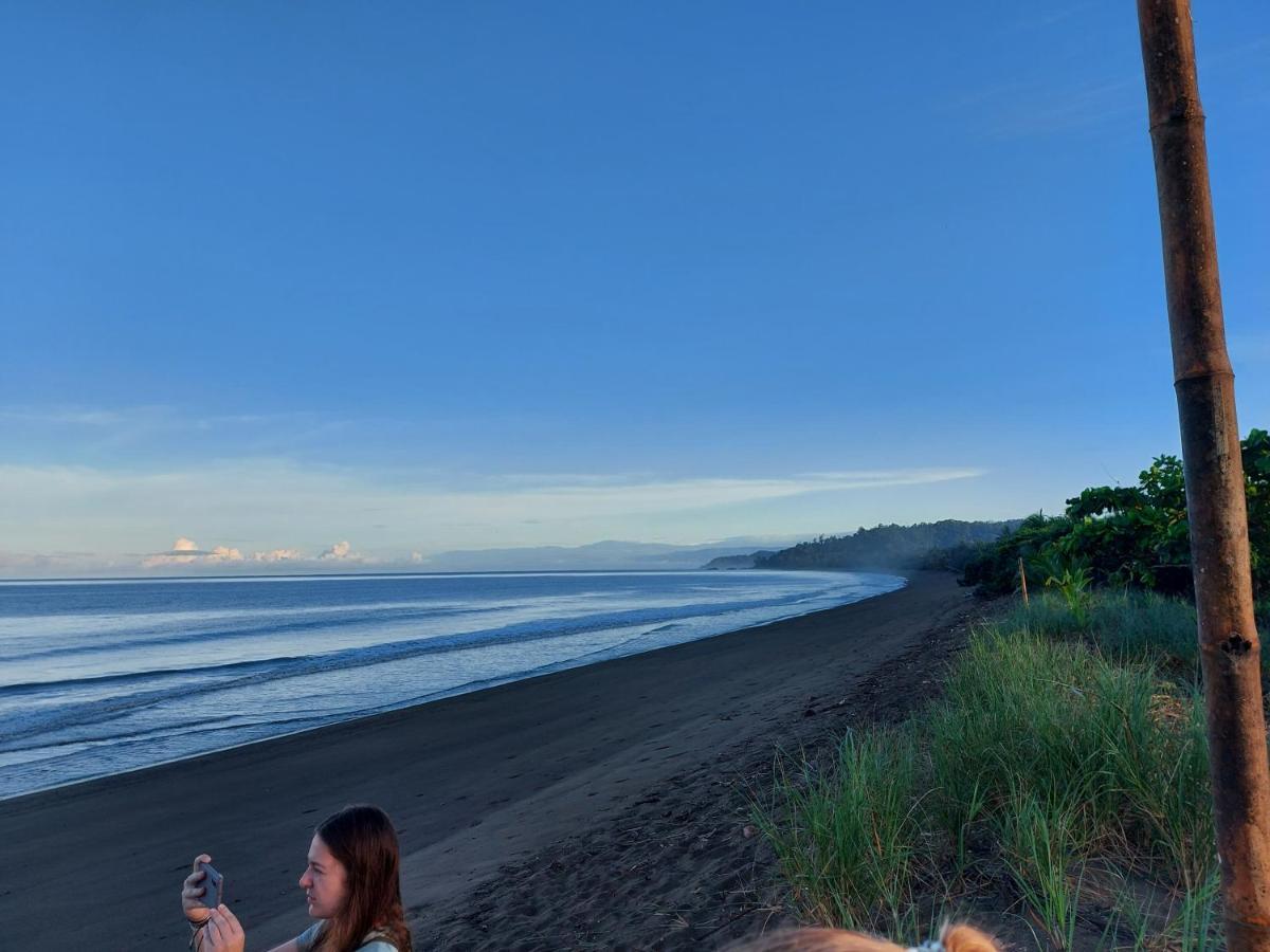 Hotel Gitana Corcovado, Y Tour Operador Drakes Bay Екстериор снимка