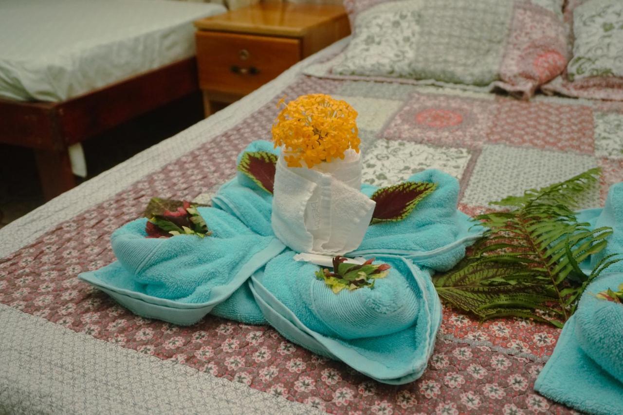 Hotel Gitana Corcovado, Y Tour Operador Drakes Bay Екстериор снимка