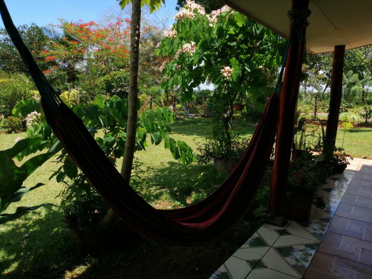 Hotel Gitana Corcovado, Y Tour Operador Drakes Bay Екстериор снимка
